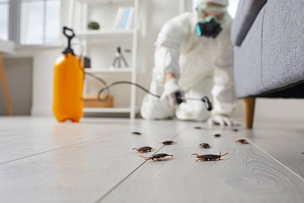 Commercial Kitchen Cockroach Control in Charlotte
